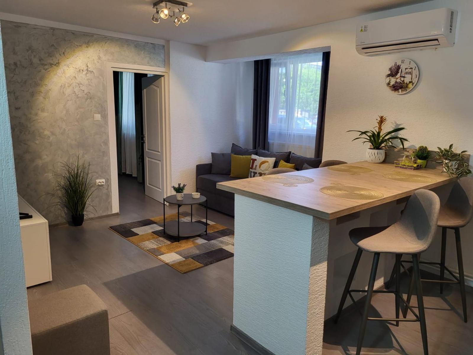 Mona Central Apartment Hunedoara Exterior foto
